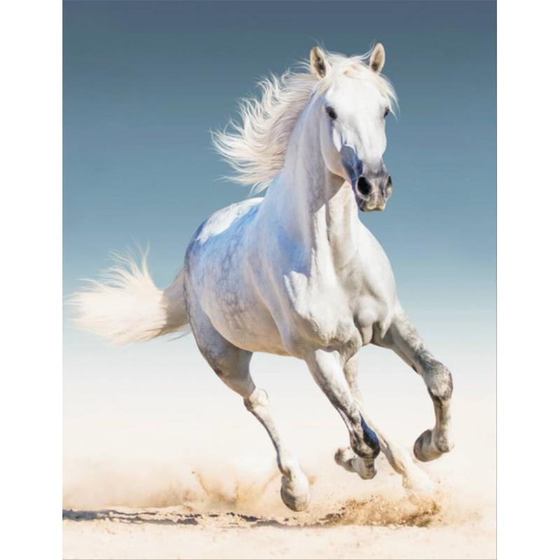 Κατασκευή Ψηφιδωτού kit Λευκό Αλογο 40cm X 50cm