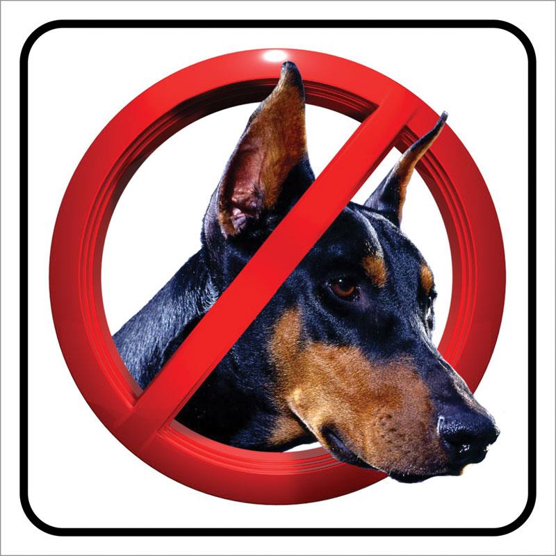 Πινακίδα Απαγορεύονται Οι Σκύλοι PVC 95x95mm