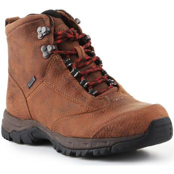 Πεζοπορίας Ariat Trekking shoes Berwick Lace Gtx Insulated 10016229