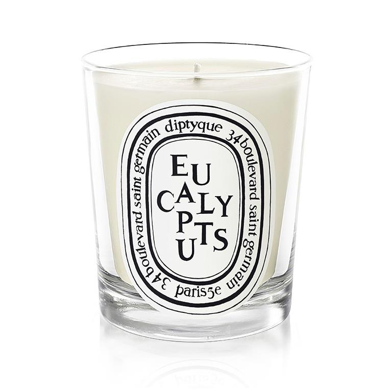 DIPTYQUE EUCALYPTUS SCENTED CANDLE | 190gr