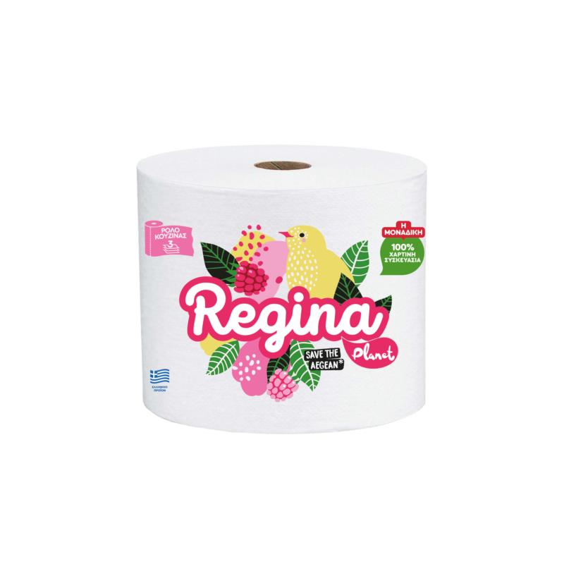 Χαρτί Κουζίνας 3φυλλο Regina Planet (1 τμχ / 500g)