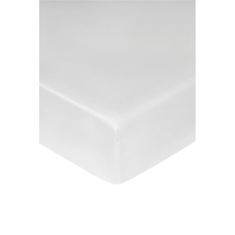 Coincasa διπλό σεντόνι μονόχρωμο με λάστιχο 160 x 200 cm (1 τεμάχιο) - 007080268 Λευκό