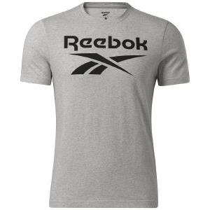 Reebok Graphic Series Stacked Ανδρικό T-shirt (9000112084_7747)