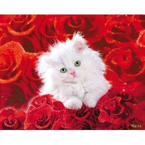 POSTER CAT AND ROSES 40.6 X 50.8 CM
