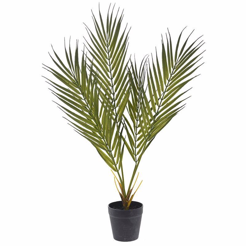 Iliadis Φυτό Κέντια με 5 Φύλλα 55cm σε Πλαστική Γλάστρα 80934