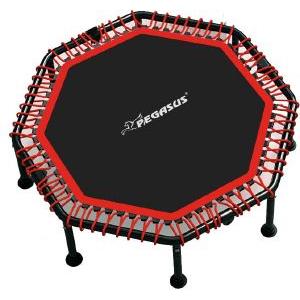 ΟΚΤΑΓΩΝΟ ΤΡΑΜΠΟΛΙΝΟ PEGASUS Β-4503 ΜΑΥΡΟ 48" (122 CM)