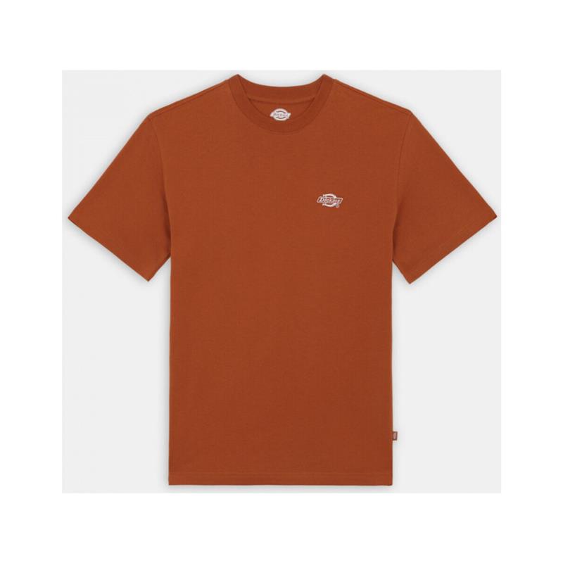 T-shirts & Polos Dickies Summerdale tee ss bombay