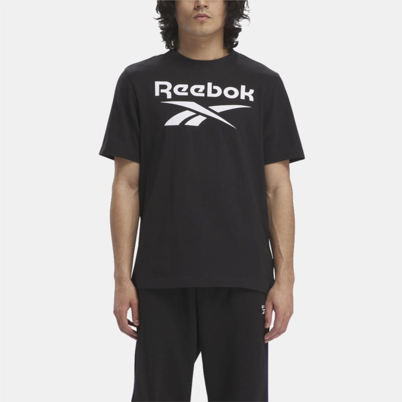 Reebok Identity Big Stacked Logo Ανδρικό T-shirt (9000156738_1469)