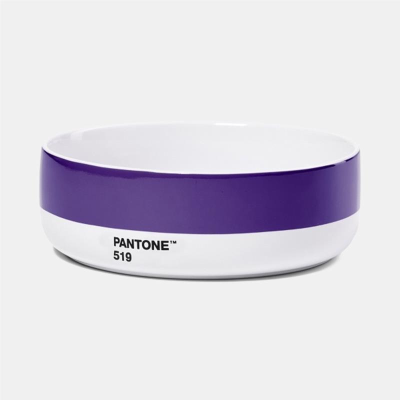 Pantone Bowl - Violet (9000165473_3248)