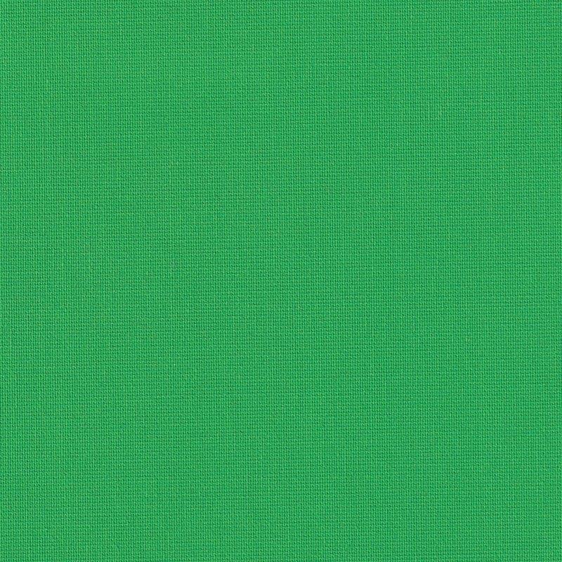 Ρόλερ Σκίασης Μονόχρωμο 1250.9250 Πράσινο