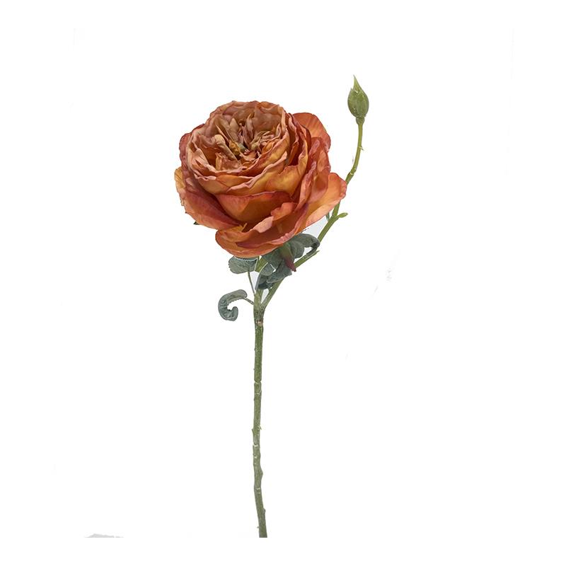 Zaros Τριαντάφυλλο Elisabeth Πορτοκαλί 44cm AX822