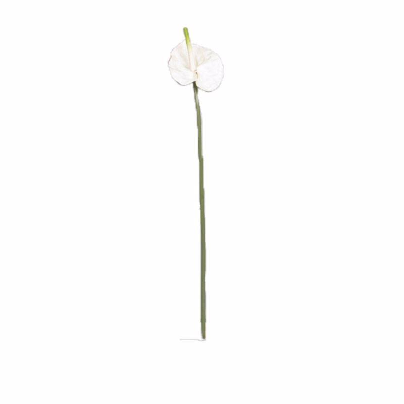 Supergreens Τεχνητό Κλωνάρι Ανθούριο Λευκό 66cm 5341-7