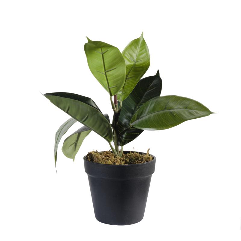 Supergreens Τεχνητό Φυτό Φίκος Elastica 30cm 0670-6