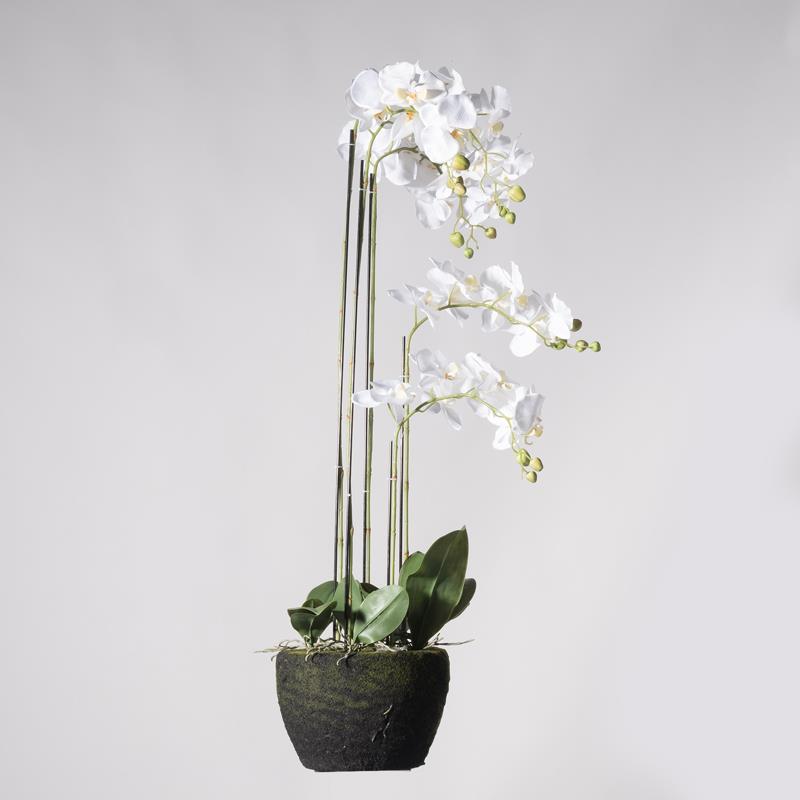 Supergreens Τεχνητό Φυτό Ορχιδέα Phalaenopsis Real Touch Λευκή με Βάση Moss 85cm 3170-6