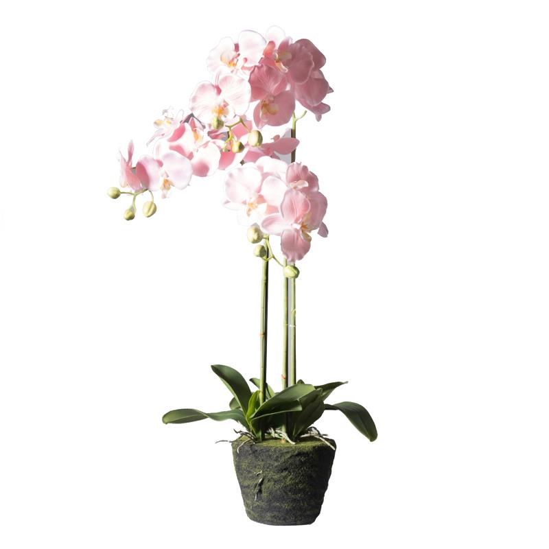 Supergreens Τεχνητό Φυτό Ορχιδέα Phalaenopsis Real Touch Ροζ με Βάση Moss 85cm 4170-6