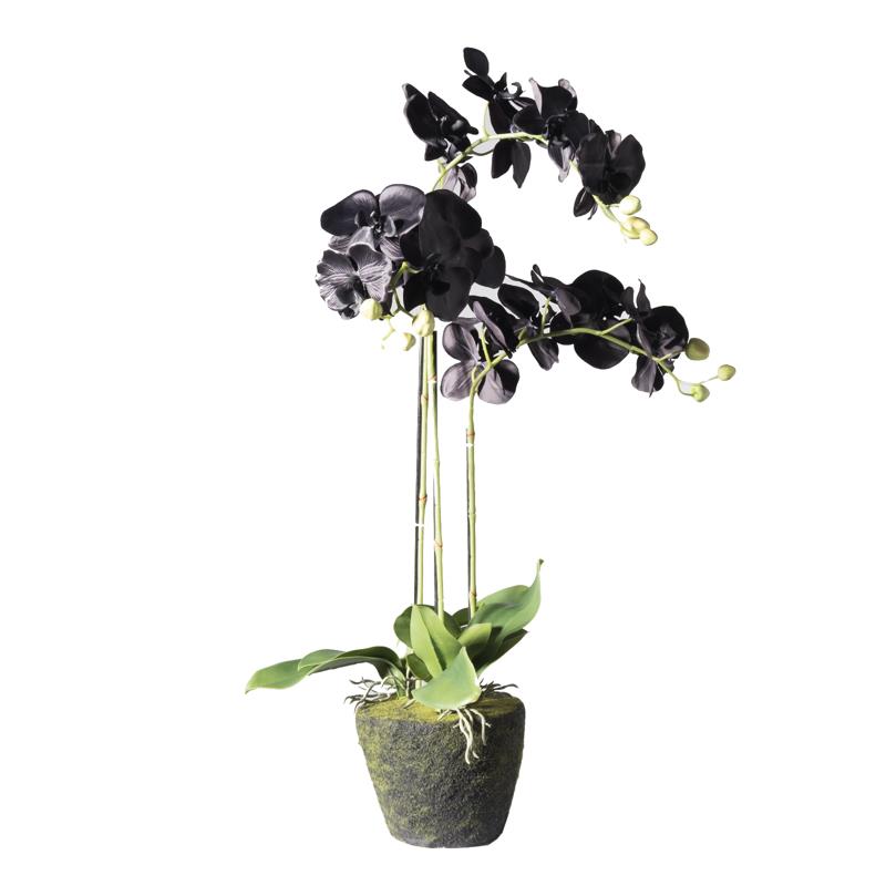 Supergreens Τεχνητό Φυτό Ορχιδέα Phalaenopsis Real Touch Μαύρη με Βάση Moss 85cm 5170-6