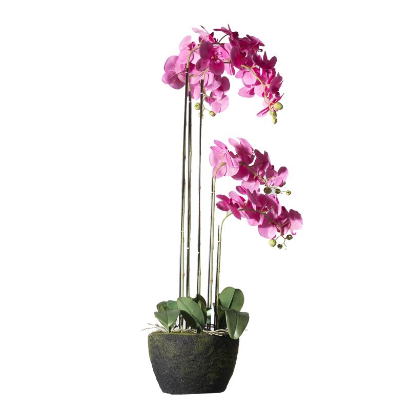 Supergreens Τεχνητό Φυτό Ορχιδέα Phalaenopsis Real Touch Φούξια με Βάση Moss 110cm 7170-6