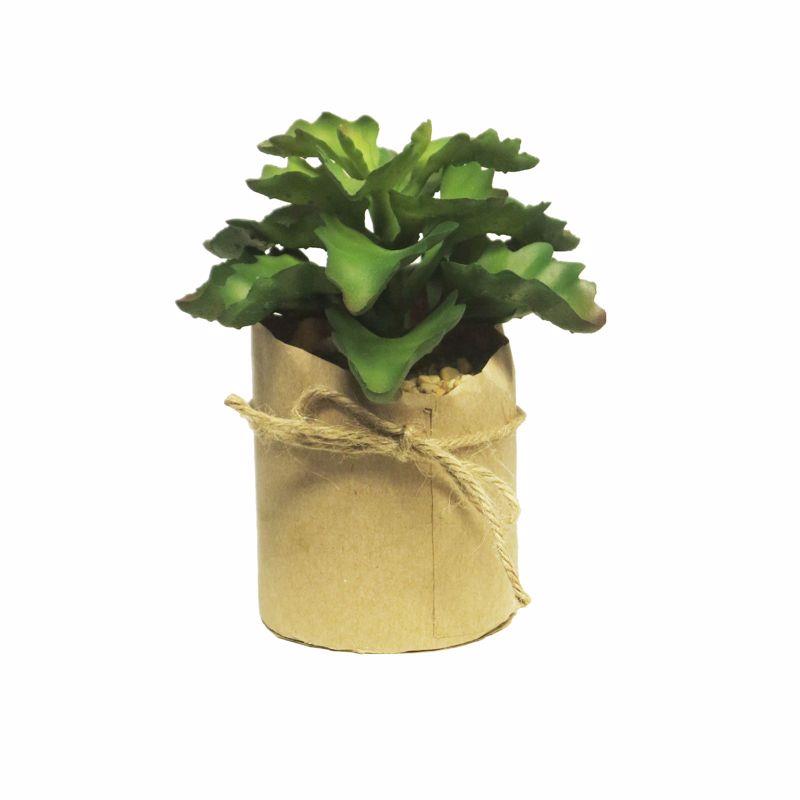 Supergreens Τεχνητό Φυτό Παχύφυτο 13cm 7470-6