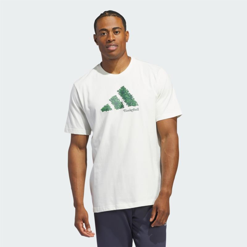 adidas Court Therapy Graphic Tee (9000177912_11977)