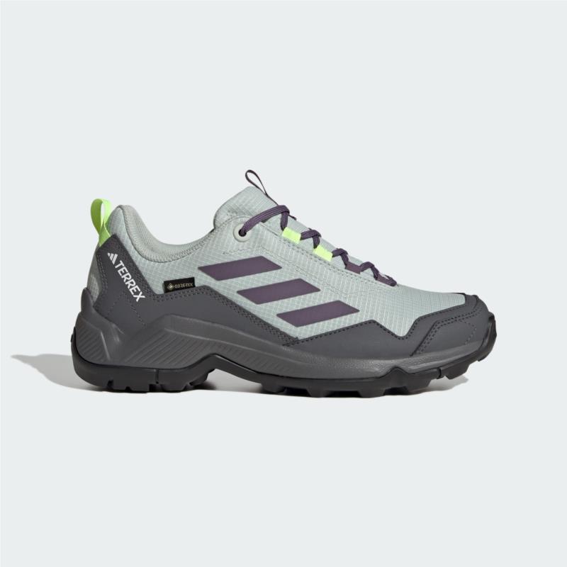 adidas Terrex Terrex Eastrail Gore-Tex Hiking Shoes (9000178906_76278)