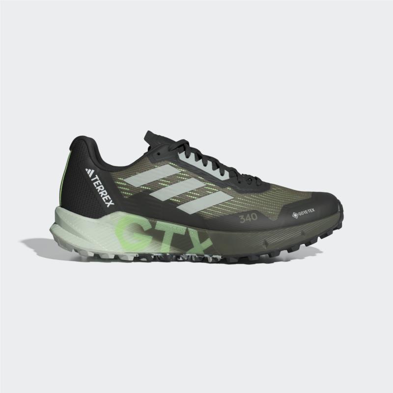 adidas Terrex Terrex Agravic Flow Gore-Tex Trail Running Shoes 2 (9000181986_76740)
