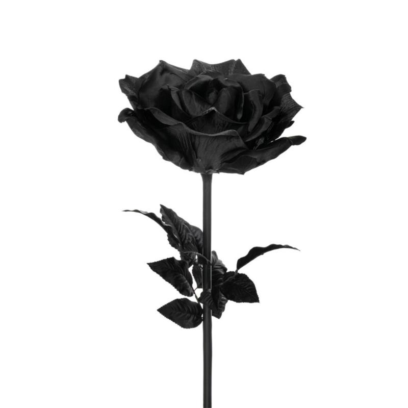 Κλαδί Με Τριαντάφυλλο Γίγας Μαύρο iliadis Φ50x136εκ. 85598 (Χρώμα: Μαύρο) - Iliadis - il_85598