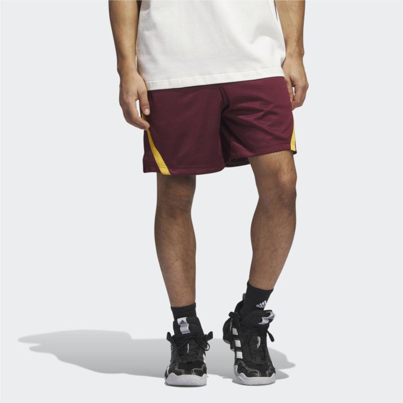 adidas Select Summer Shorts (9000155428_65923)