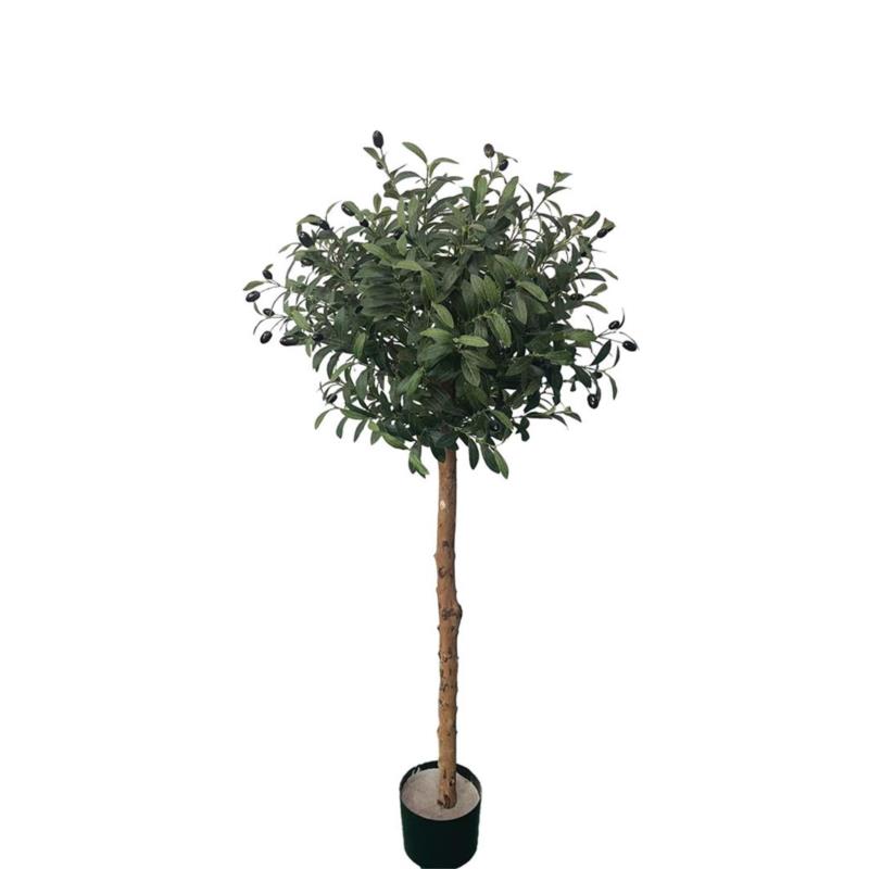 Olive Tree Np5807_150_22_Uv Υψος 150Cm Newplan