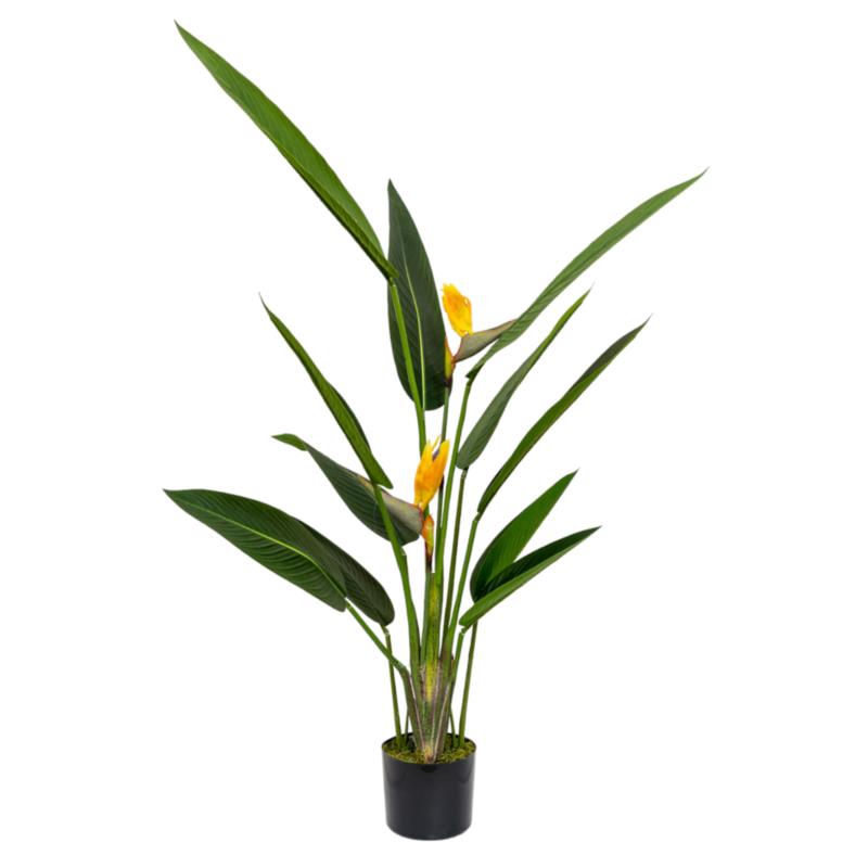 Zen Collection Φυτό Παραδείσου με Έντεκα Φύλλα και Δύο Λουλούδια σε Γλάστρα 153cm 49970