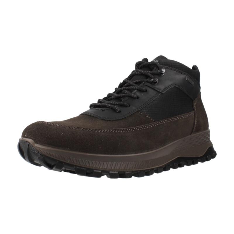 Sneakers IgI&CO 6628222IG