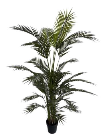 Διακοσμητικό Φυτό Palm Tree Np160_210_Uv Ύψος 210Cm Newplan