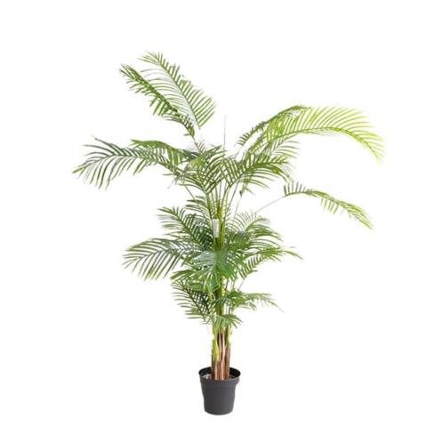 Διακοσμητικό Φυτό Palm Tree Np5502_180_22 Ύψος 180Cm Newplan
