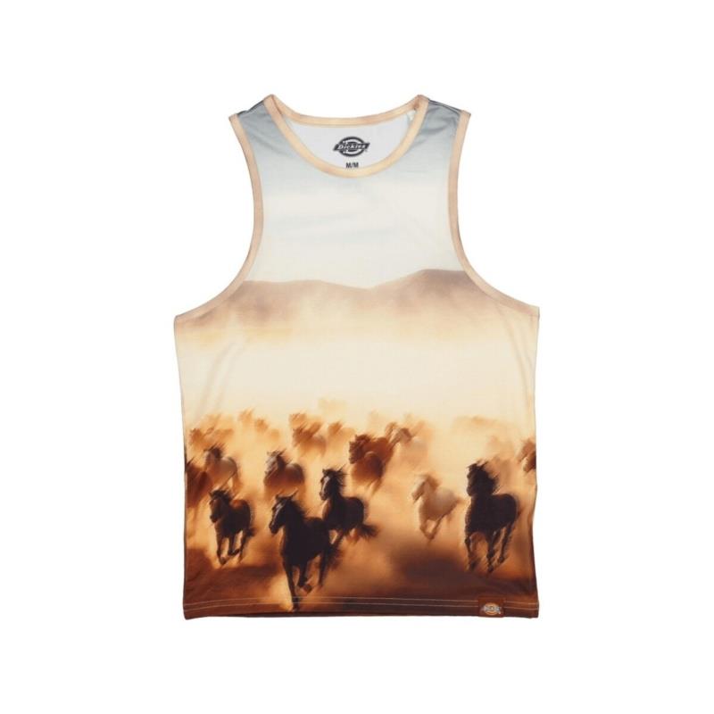 T-shirts & Polos Dickies DK0A4Z8LK411 RUNNING WILD TOP