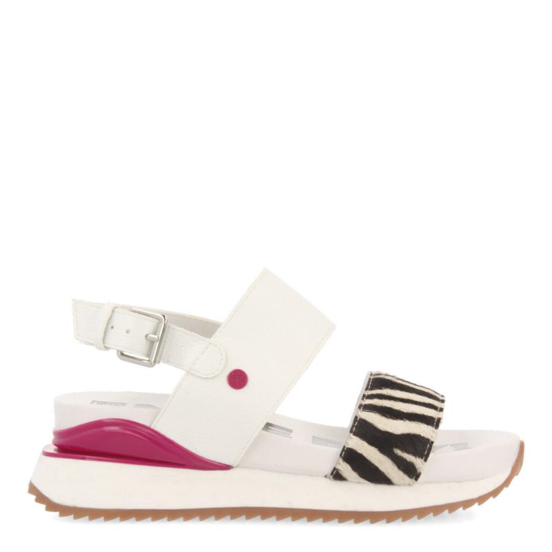 Sneakers Gioseppo VAREDO