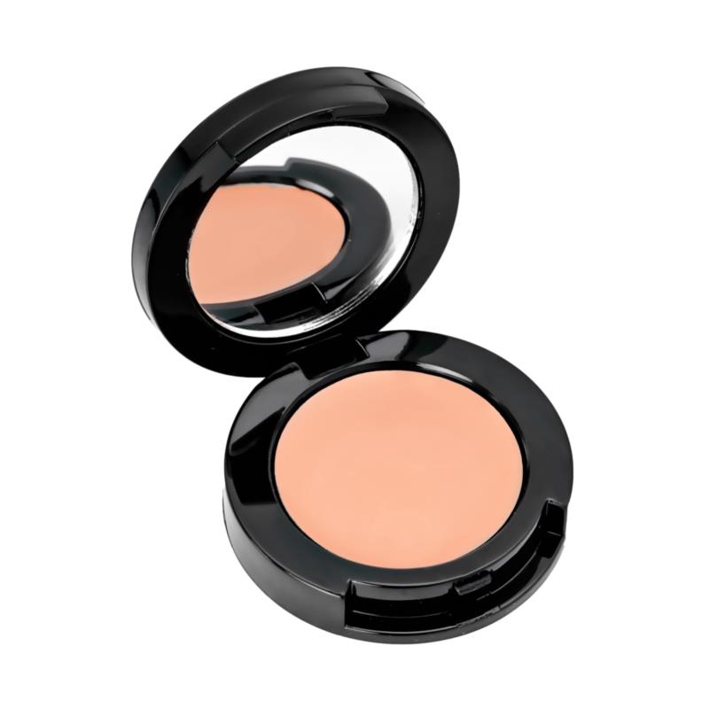High Coverage Creamy Concealer (01 Ivory)