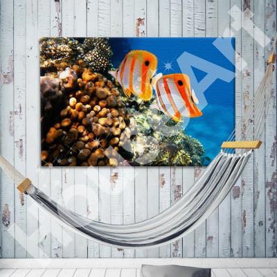 Ψάρια πεταλούδα σε ύφαλο Ζώα Πίνακες σε καμβά 30 x 45 cm